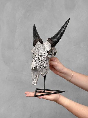 PAS DE PRIX DE RÉSERVE - Crâne de chèvre gris sculpté à la, Antiek en Kunst