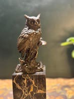 Milo (1910-1978) -After - Statue, Bos uil - 28 cm - Bronze,