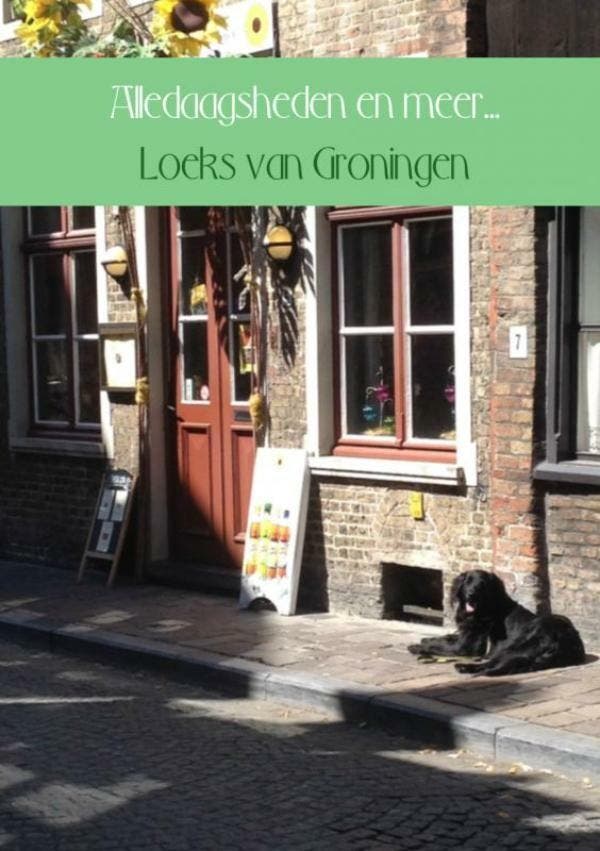Alledaagsheden en meer... 9789402141887 Loeks van Groningen, Livres, Littérature, Envoi
