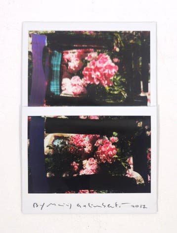 Maurizio Galimberti (1956–) - StudioBiFlowers - 10770, Antiquités & Art, Art | Peinture | Moderne