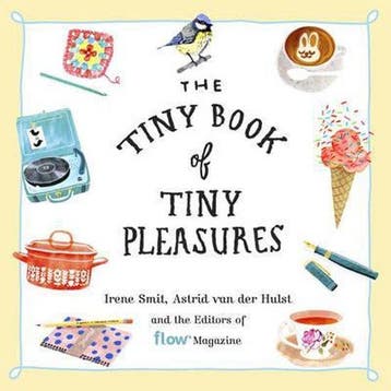 The Tiny Book of Tiny Pleasures 9780761193760, Verzenden, Gelezen, Astrid van der Hulst