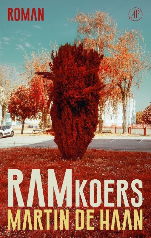 Ramkoers 9789029543316 Martin de Haan, Livres, Romans, Envoi