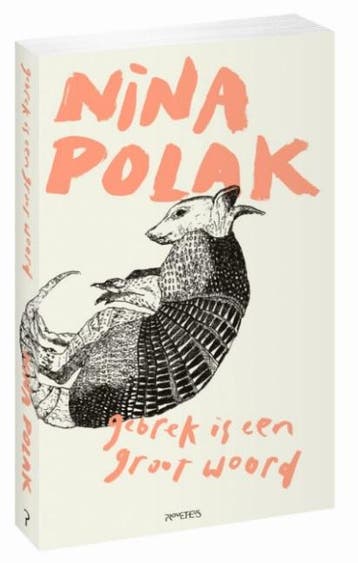 Gebrek is een groot woord 9789044629866 Nina Polak, Verzenden, Nina Polak