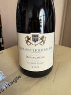 2021 x 2 Thibault Liger-Belair, Bourgogne Gamay Les Deux