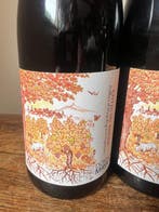 Domaine Mayard Châteauneuf du Pape 2024, Côtes du Rhône 2025, Verzamelen, Nieuw