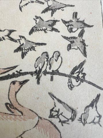 Varieties of Birds  - Katsushika Hokusai (1760–1849) -
