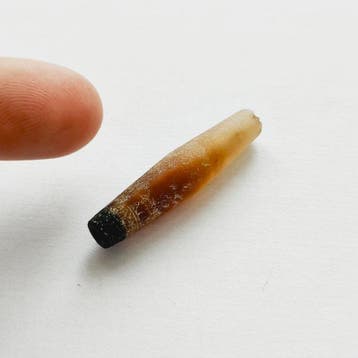 Zijderoute, Centraal-Aziatisch Natuurlijke bandagaat