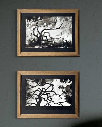 Eugène Eechaut (1928-2019) - Black tree compositions