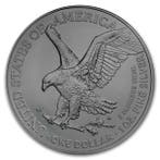 Verenigde Staten. 1 Dollar 2024 1 oz American Silver Eagle