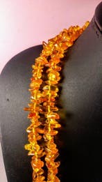 Baltisch amber - extra lange Strand - halsketting -