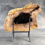 Prachtige snede van versteend hout op een op maat gemaakte