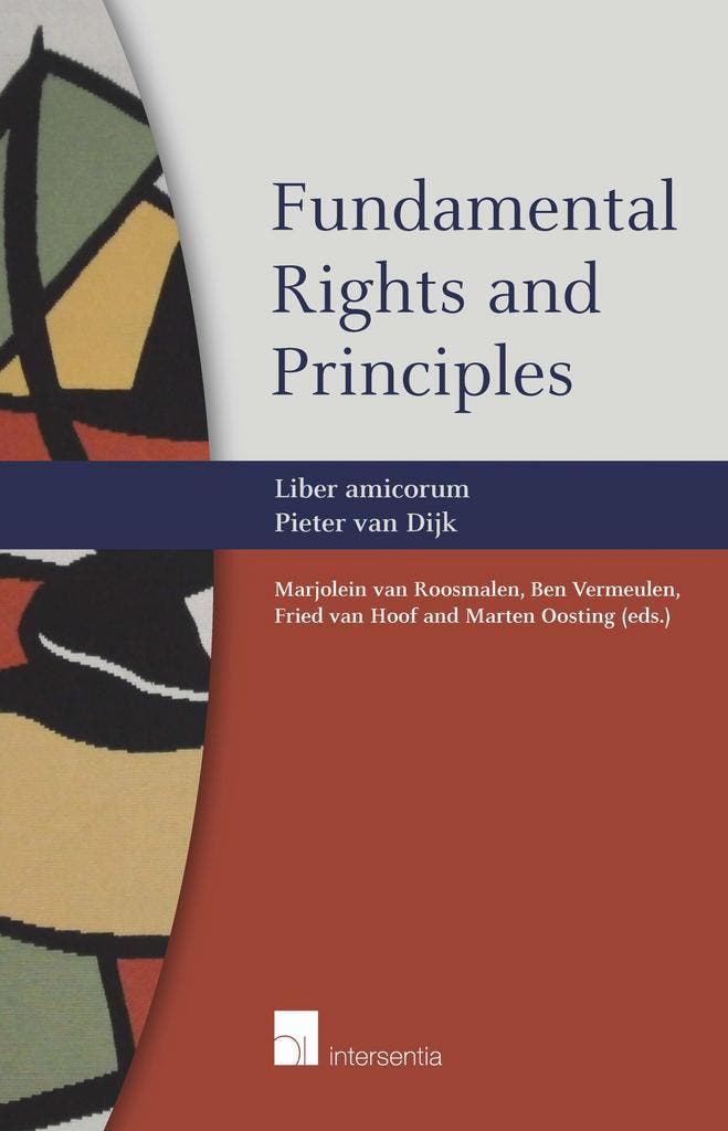 Fundamental Rights and Principles 9781780681085, Boeken, Taal | Engels, Zo goed als nieuw, Verzenden