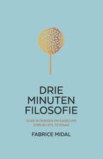 Drie minuten filosofie 9789400513389 Fabrice Midal, Boeken, Verzenden, Zo goed als nieuw, Fabrice Midal