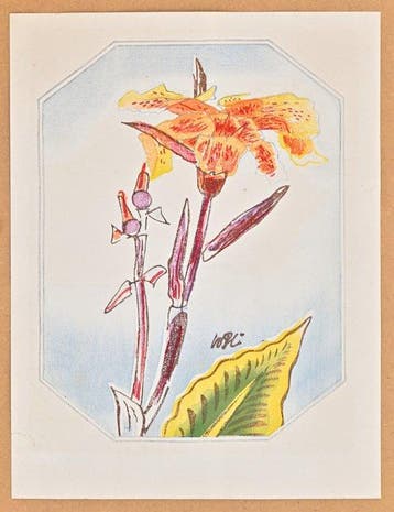 Fifty Flower Themes - Canna  - 1930 - Limited Edition -