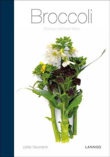 Broccoli 9789020996531 Peter Bauwens, Verzenden, Peter Bauwens