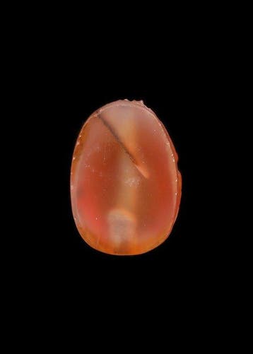 Oude Egypte, Nieuwe rijk Kornalijn Scarab