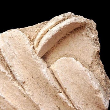 Oud-Romeins Gips - Fragment van Romeinse architectuur in, Verzamelen