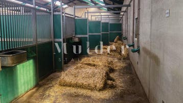 Gebruikte paardenstallen | Grote voorraad | Leveren mogelijk, Animaux & Accessoires, Box & Pâturages, Stalling