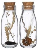Vaasje milk bottle naturel met kurk incl. droogbloemen 14×6, Hobby en Vrije tijd, Nieuw