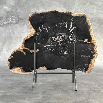 C - Prachtige plak versteend hout op een op maat gemaakte, Antiek en Kunst