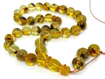 Tentoonstellingskwaliteit Baltisch amber 33-kraal tasbih,, Nieuw