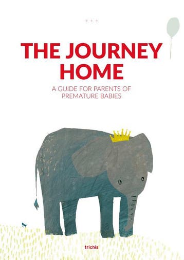 The Journey Home 9789492881342 Liduine Schönau, Verzenden, Liduine Schönau