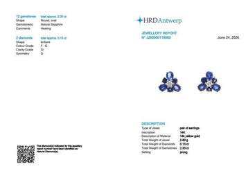 Oorstekers - 14 karaat Geel goud - 2.43ct. tw. Saffier -