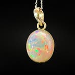 Hanger van opaal AAA - 925 zilver Sieraden - Hoogte: 20 mm -