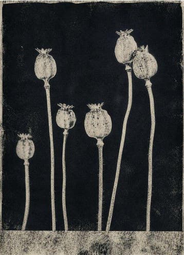 Tommaso Grella - Opium