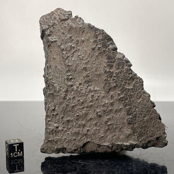 Chondrite carbonée CK6 SUEILILA 006 TRÈS RARE Pièce complète