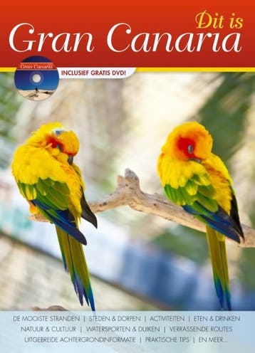 Dit is Gran Canaria 9789081220804 A.A. Steevels, Verzenden, Zo goed als nieuw, A.A. Steevels