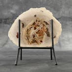 Magnifique tranche de bois pétrifié sur un socle