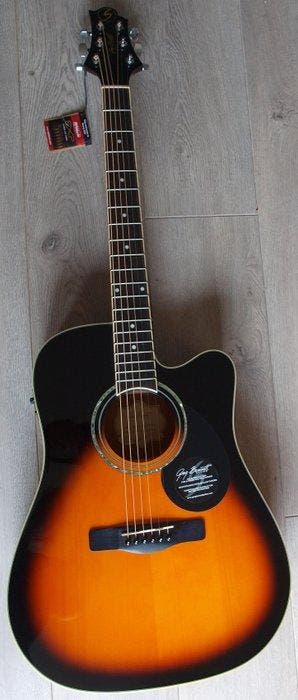 Samick - Greg Bennett GD100CEVS with Fishman Isys pre-amp -