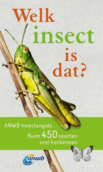 Welk insect is dat? ANWB Insectengids / Welke is dat?, Boeken, Verzenden, Zo goed als nieuw, Heiko Bellmann