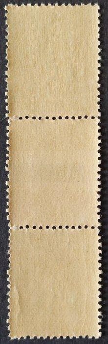 Frankrijk 1898 - Sage, 5 c. groen-geel, de twee types staan, Gestempeld