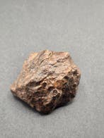 meteoriet Chondrite meteoriet - Hoogte: 3.5 cm - 42 g
