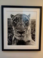 David Yarrow (1966 -) - The Hunger Games