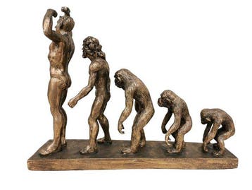 Figure - Darwins Evolution - Résine