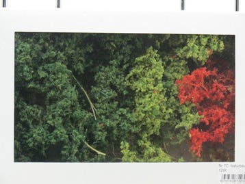 Jordan 7C Naturbäume 12St. 6-11 cm (Bomen en struiken), Ophalen of Verzenden, Nieuw