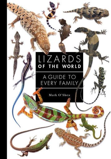 A Guide to Every Family- Lizards of the World 9780691198699, Verzenden, Mark O'Shea