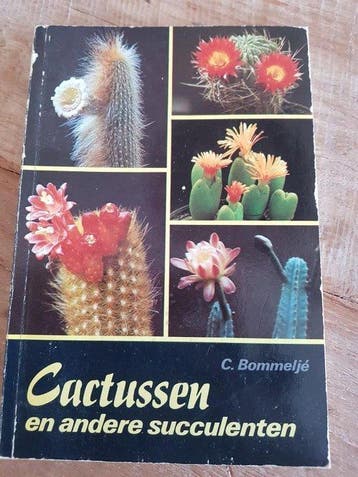 Cactussen en andere succulenten - Bommelje, Boeken, Verzenden, Nieuw