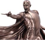 Harry Potter Voldemort Duel, Nieuw