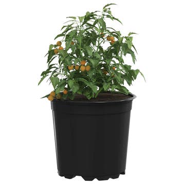 vidaXL Ronde Bloempot 50 st Zwart Ø 15 x 13 cm Kunststof, Verzenden