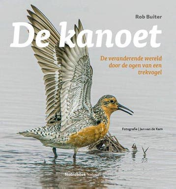De kanoet 9789464710823 Rob Buiter, Verzenden, Gelezen, Rob Buiter