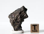 Mooi stuk CV3-meteoriet NWA 17013 Koolhoudende chondrite, Verzamelen, Mineralen en Fossielen