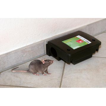 Lokdoos blocbox beta - 22,5x18,5x9,5cm, tegen ratten - kerbl