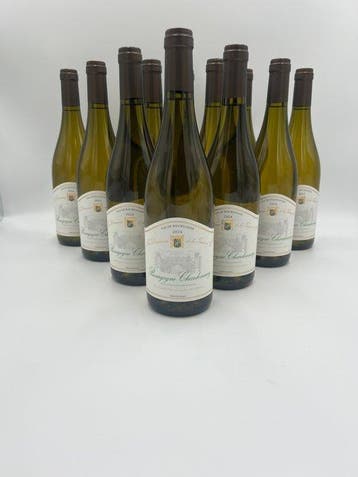 2024 Domaine de la Tassé dOr Bourgogne Chardonnay -, Nieuw