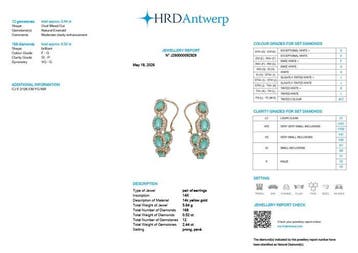 Hoepel oorbellen - 14 karaat Geel goud - 2.96ct. tw. Smaragd