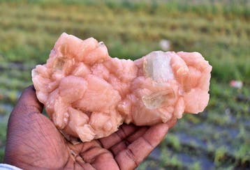 Groene apophyllietkristallen op stilbiet-matrix Kristal op