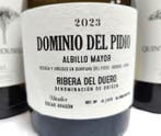 2023 Dominio del Pidio Albillo x1 & 2024 Quinta de Couselo